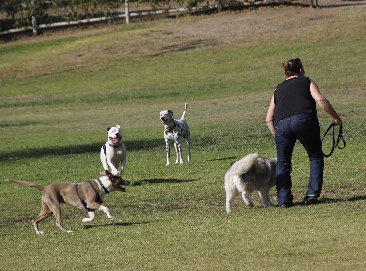 Waller Park