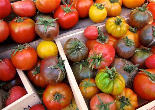 Diversity of Beefsteak Tomatoes Stock Image - Image of tomato