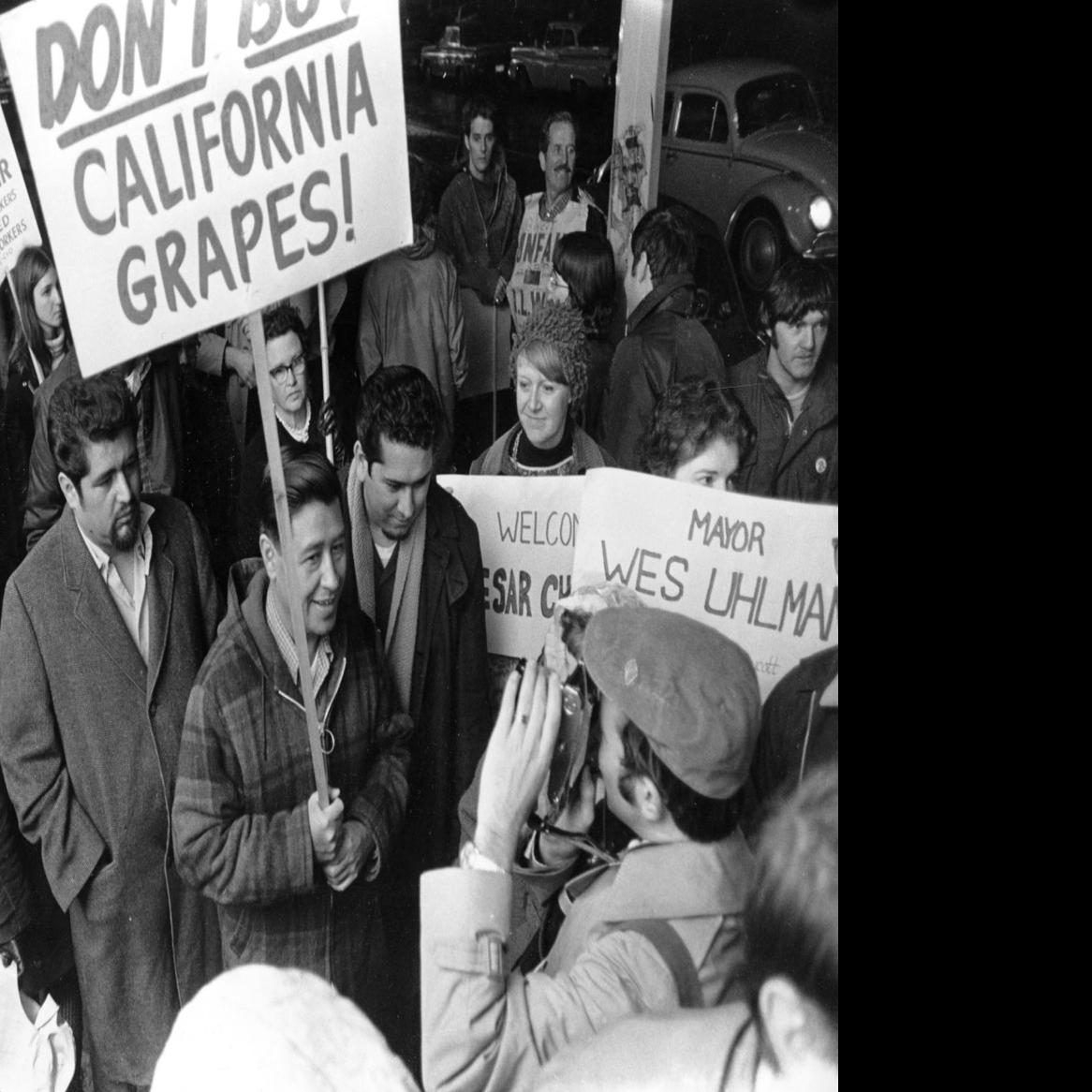 Judith Dale The Story Of Cesar Chavez Columns Syvnews Com