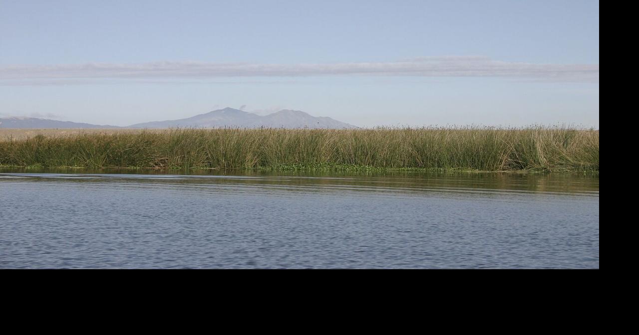 Ranchers, tribes, state clash over Shasta River water - CalMatters