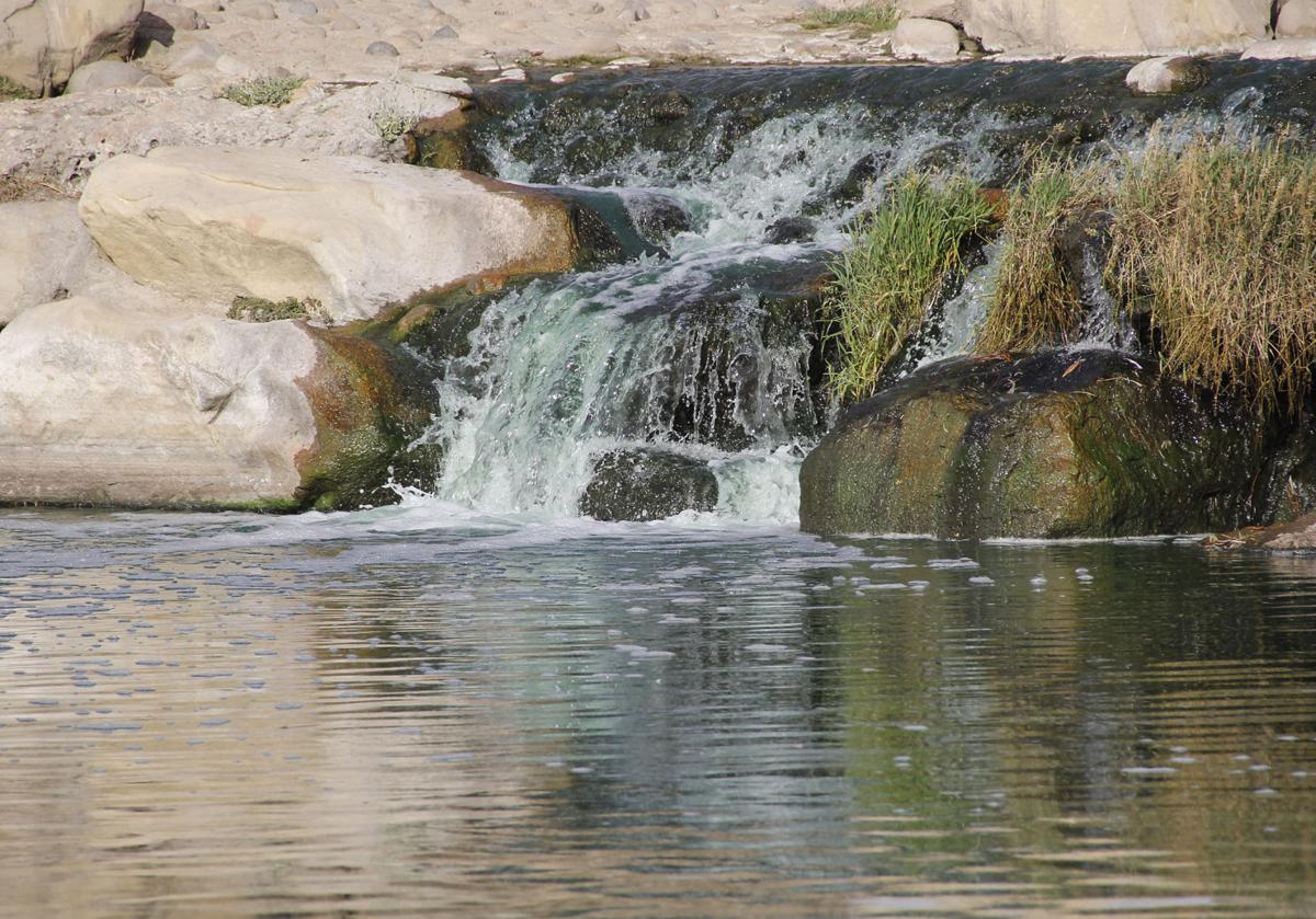 Waller Park
