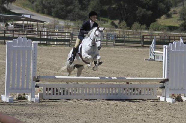 Santa Ynez Valley Equestrian Center busy with summer shows
