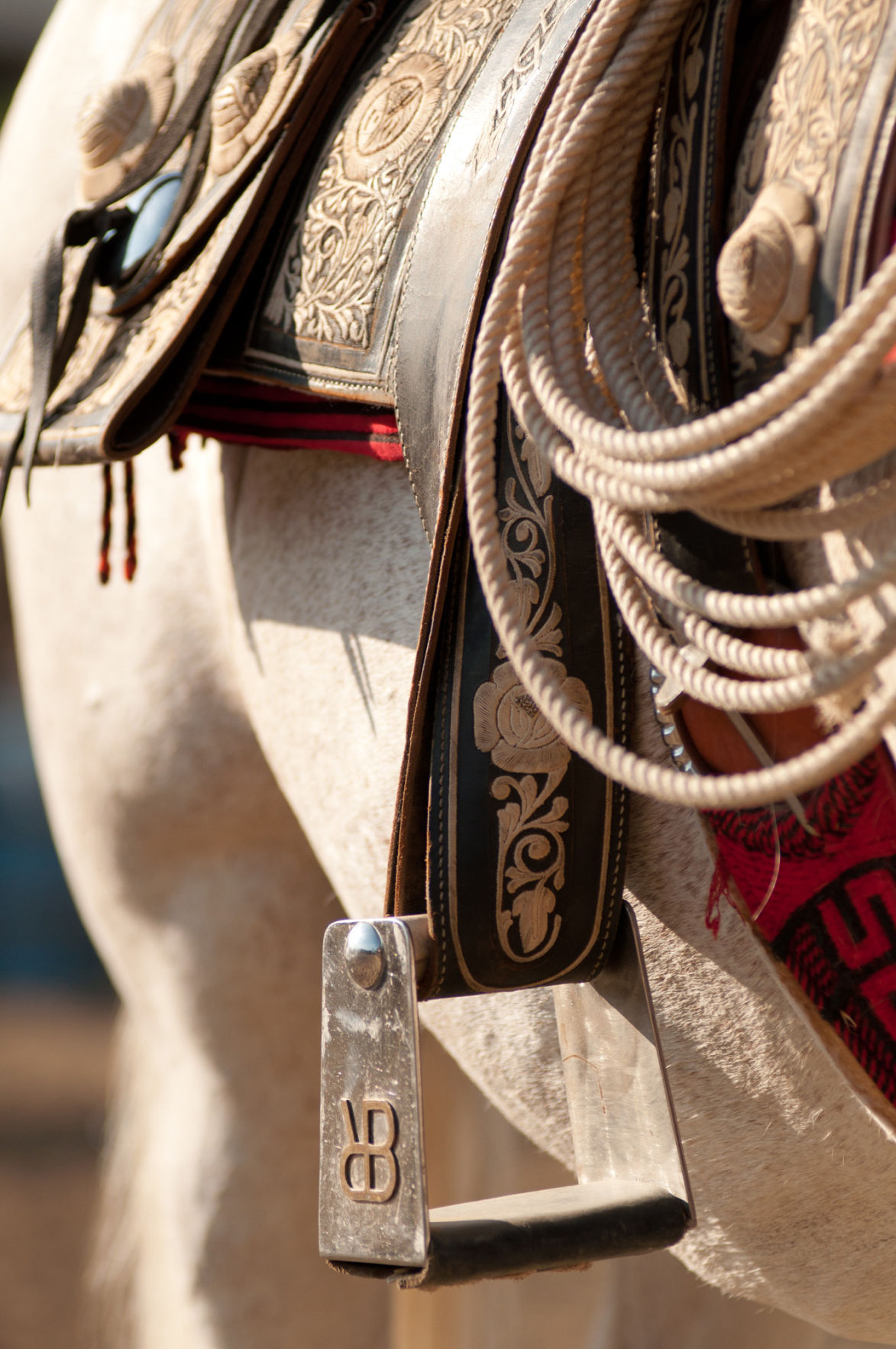 Ramon Becerra Roping His Way To Stardom Valley Life Syvnews