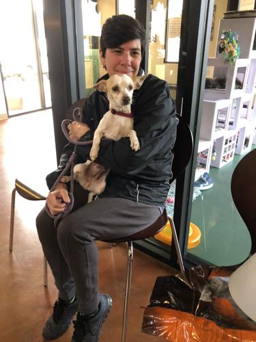 Clearing the shelters: Santa Maria Valley Humane Society waives adoption fees for adult dogs, cats through Sunday | Local news Clearing the shelters: Santa Maria Valley Humane Society waives adoption fees for adult dogs, cats through Sunday | Local news