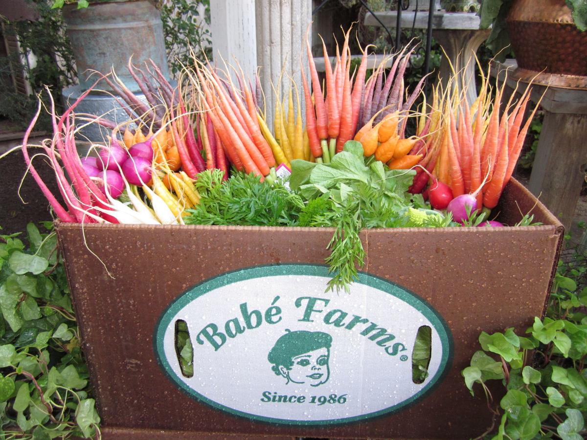 GALLERY Farms around Santa Maria Food and Cooking