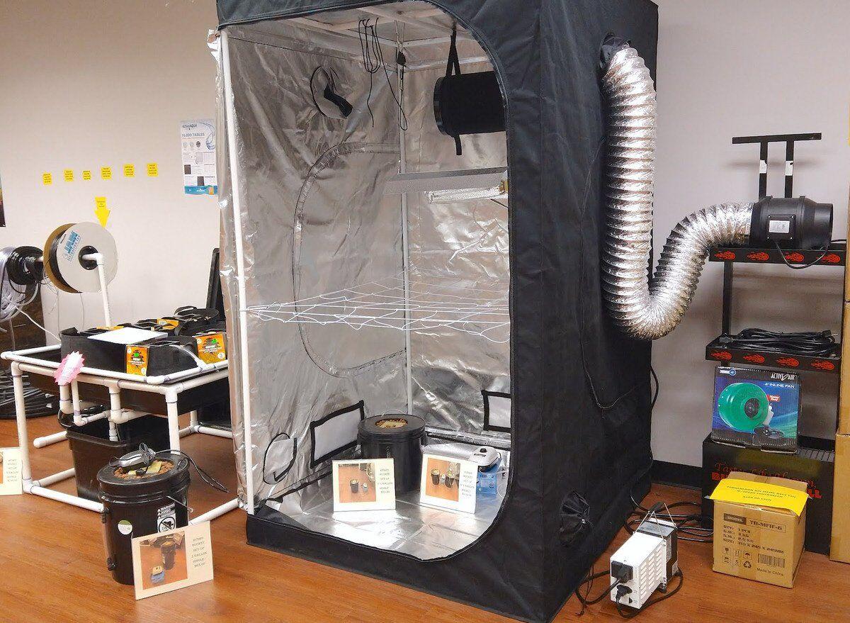 Hydroponic Systems Allow Plants To Grow Inside All Year News Tahlequahdailypress Com