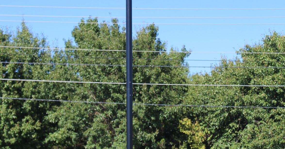 POLITICAL ROUNDUP: Most say Flock Safety cameras good for city
