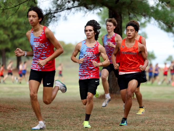 THS cross country punches ticket to 5A State Championship