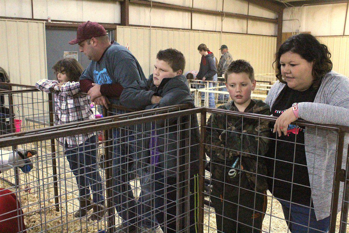 For participants in livestock show, it's a 'family and friend thing