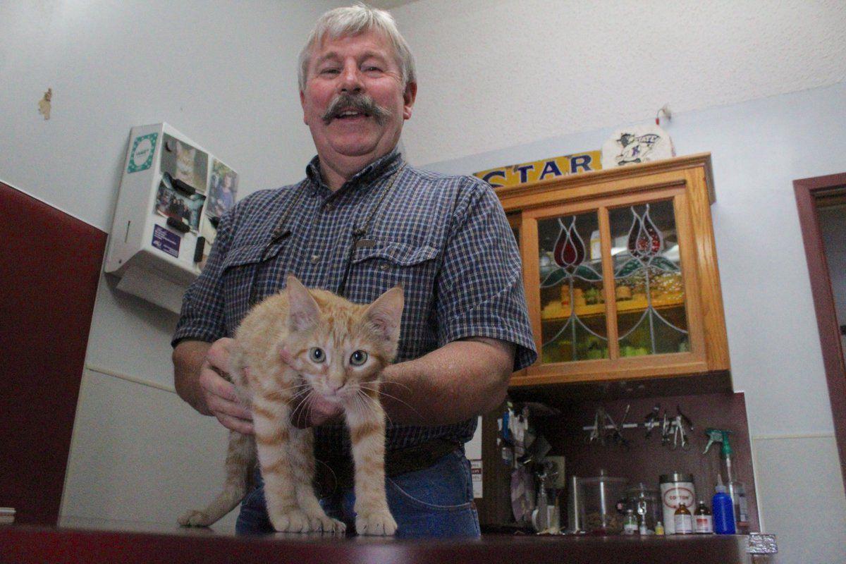 Abuse, neglect, overpopulation of animals rampant in county Local