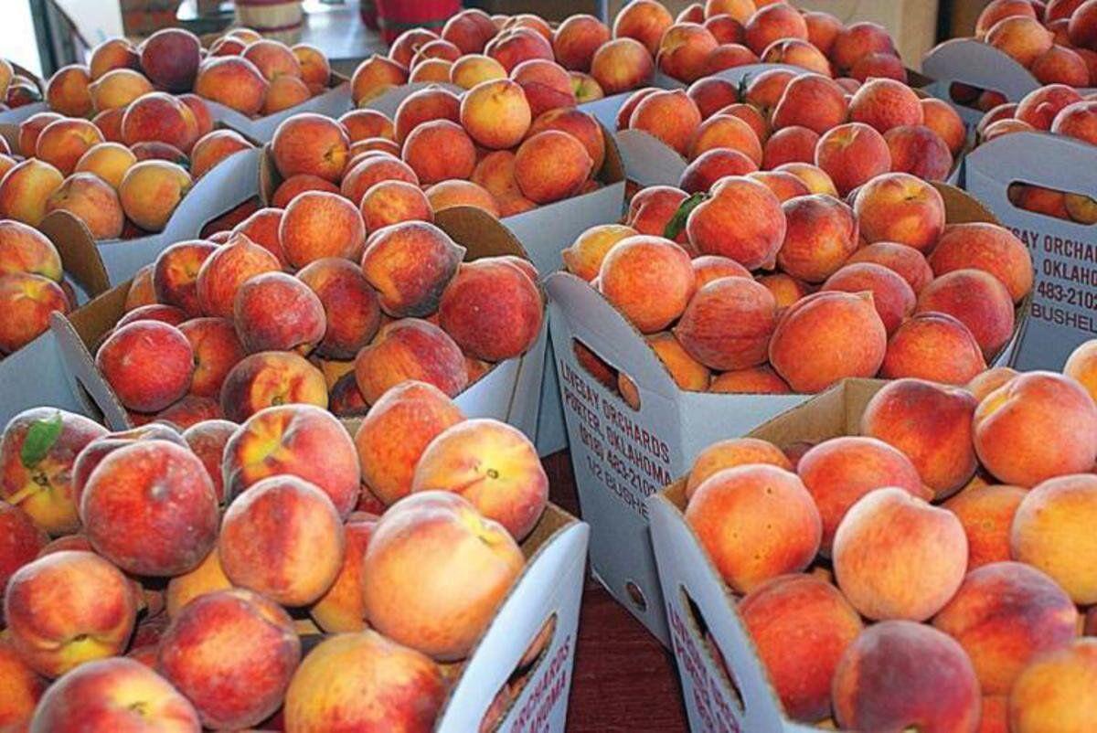 Porter Peach Festival returning for 55th year Local News