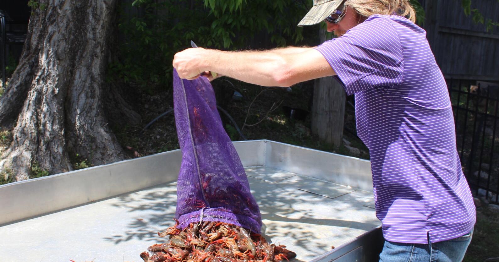 MUDBUGS GALORE: Crawfish Festival brings Louisiana flair to Tahlequah