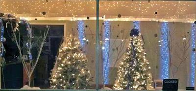 Snowflake Rink Closes For Season Local News