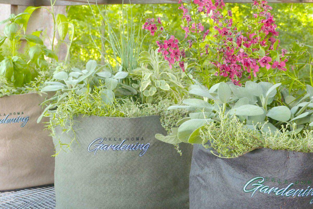 Grow Bags: the Pros and Cons