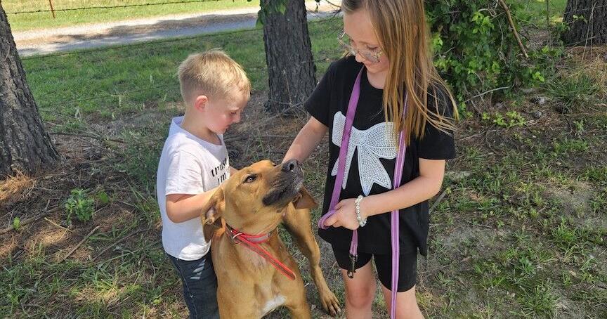 TRADE OR SELL: Swap meet gives residents opportunity to sell, trade excess animals, equipment