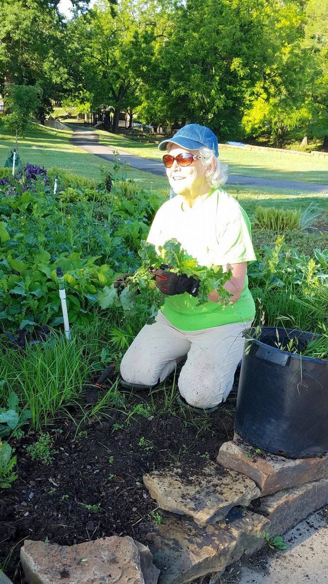 Garden Club Begins Work Season Seeks Members News