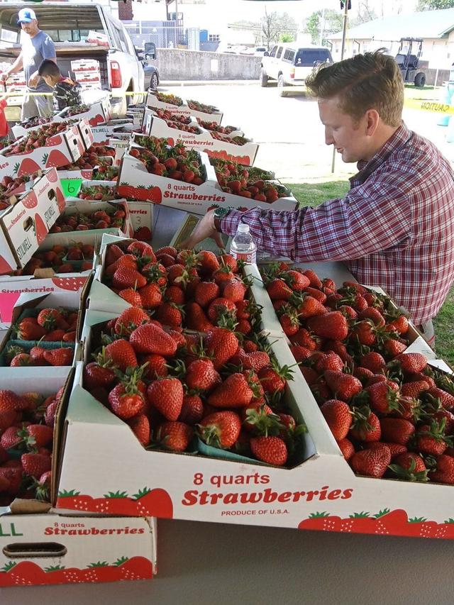 PICK OF THE CROP Stilwell strawberries are in, but customers better