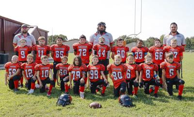 Tigers advance to Super Bowl