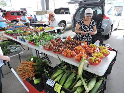 Atten Record Broken Fall Crops Arriving Local News Atten Record Broken Fall Crops