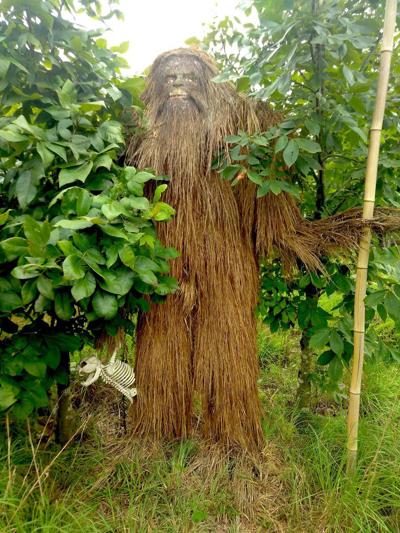 Watching for Sasquatch