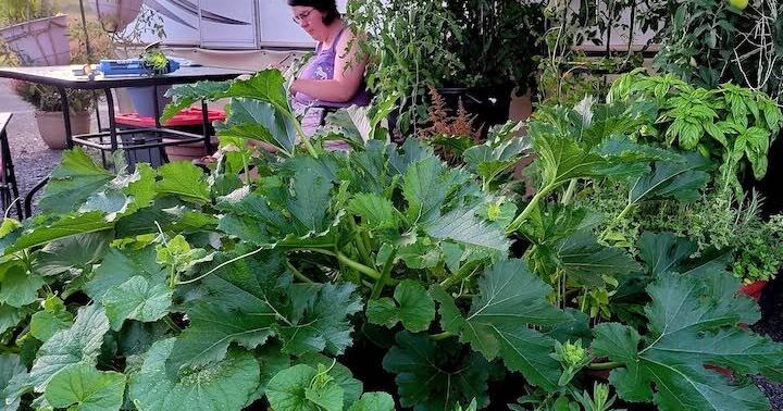 Composting gives gardeners early start on planting