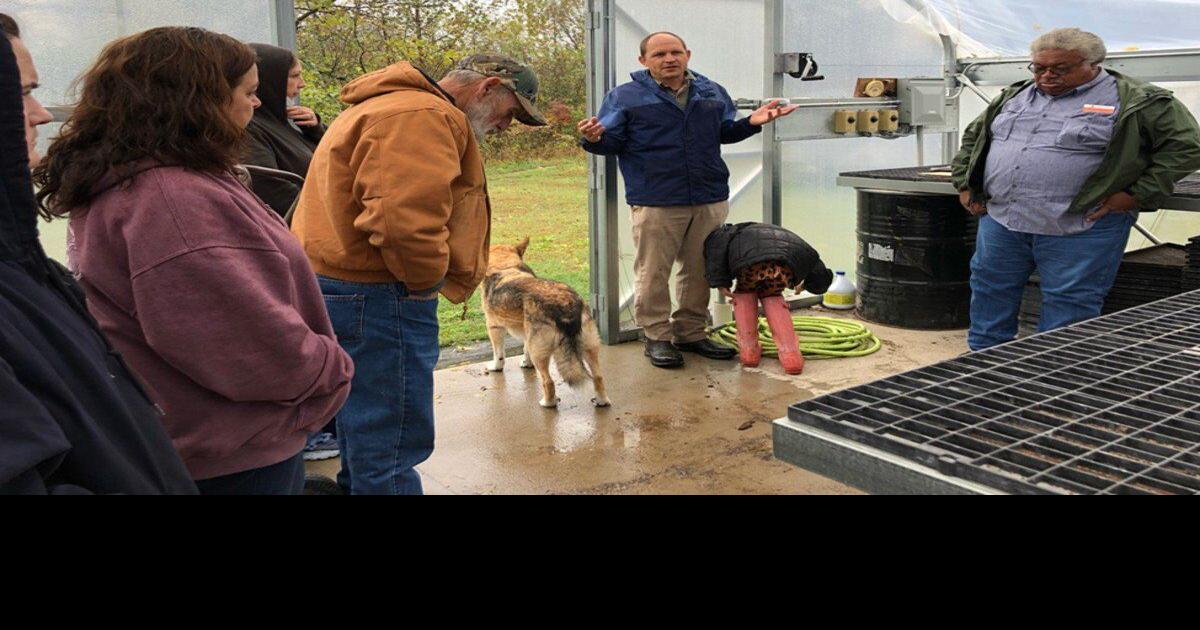 Farmers learn from local experts at Three Springs Farm | News ...