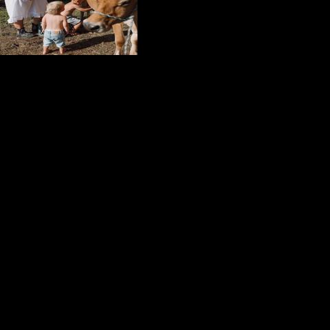 Kennedy's raw milk habit popular with some consumers