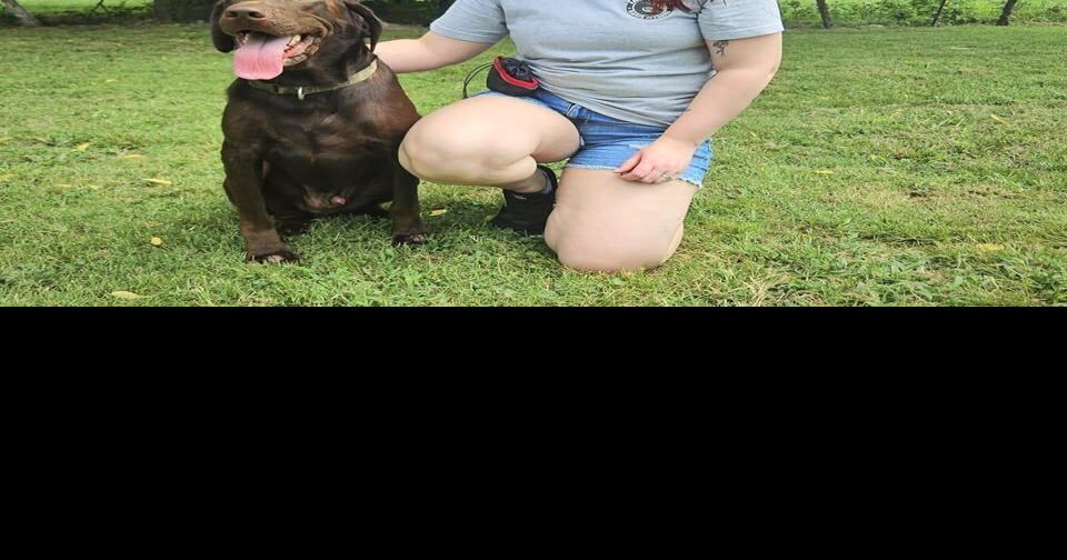 5Ws+1H: Exercises for dogs should be tailored to pet | News