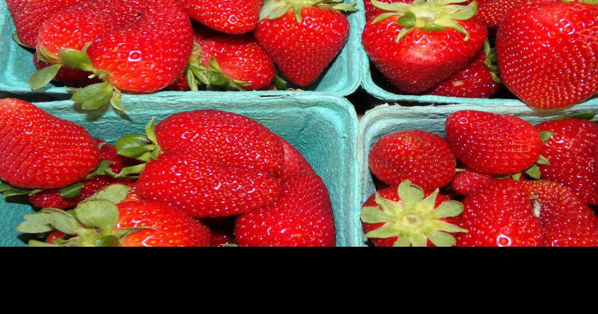 Stilwell strawberries available; judging, auction to be held online