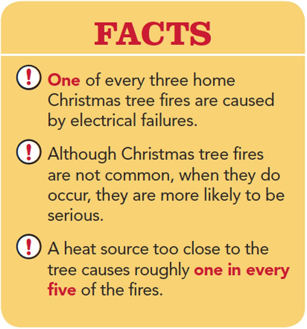 Experts warn of holiday fire risks News