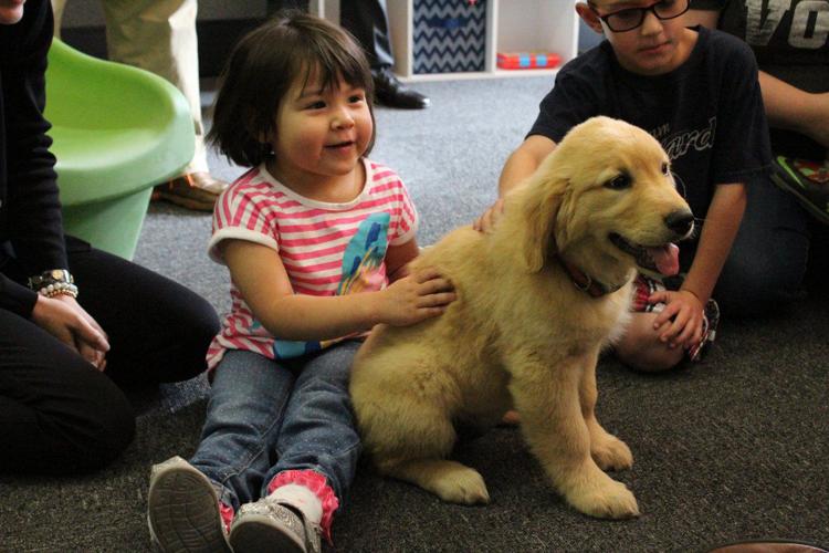 Tripp Rozell Indian Child Welfare welcomes furry friend | Local News ...
