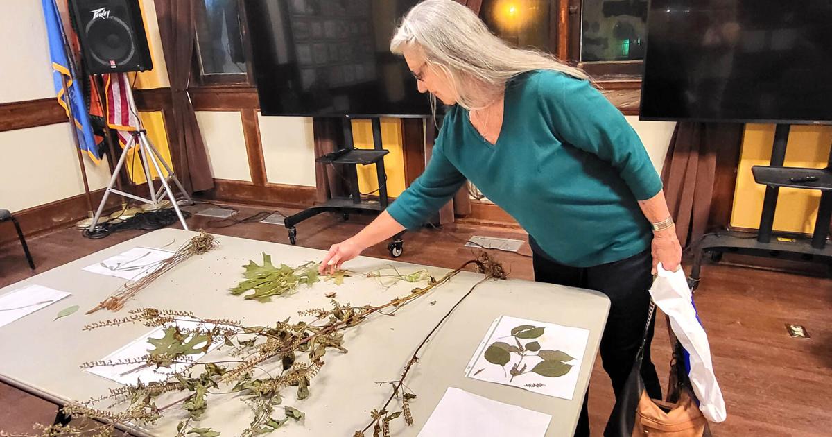 Wild plants in Oklahoma touted for health benefits | News Wild plants in Oklahoma touted for health benefits | News