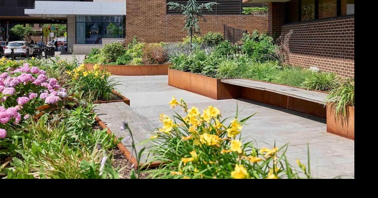 Pocket gardens: The tiny urban oases with surprisingly big benefits