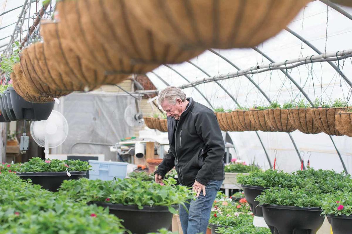Like stepping into the tropics. Comforting and colorful, greenhouses