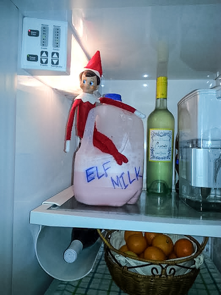 Elf on the Shelf flies off store shelves into local households | Human ...