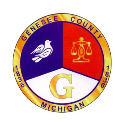 Genesee County probate and circuit courts provide status of court