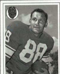 Ron Kramer, Tight End With Packers and Lions, Dies at 75 - The New York  Times