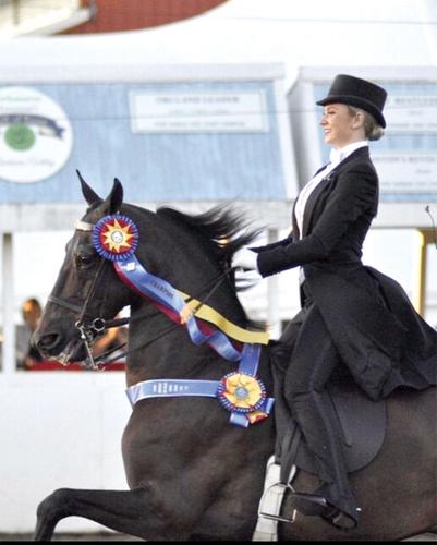Linden student to compete at national horse show | Lifestyles ...