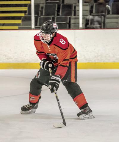 Griffins win thriller vs. Alliance, 2-1 | Sports coverage for Fenton Griffins win thriller vs. Alliance, 2-1 | Sports coverage for Fenton