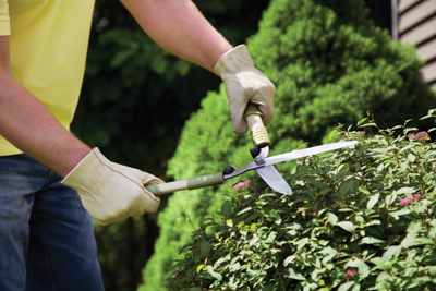 Get your yard and landscape ready for spring