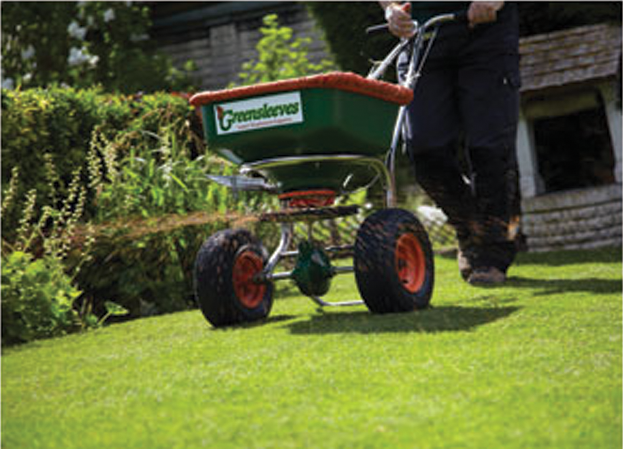 Spring Lawn seeding basics | Featured Sections | tctimes.com