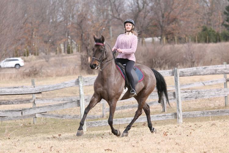 14-year-old has numerous horse show awards | News for Fenton ...