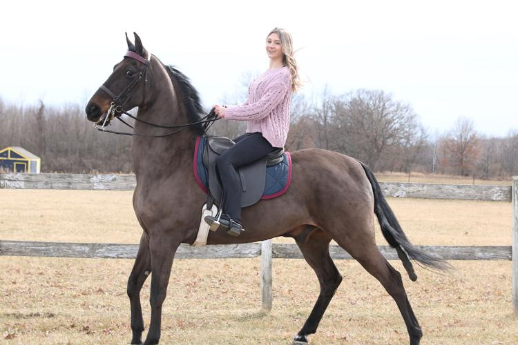 14-year-old has numerous horse show awards | News for Fenton, Linden ...