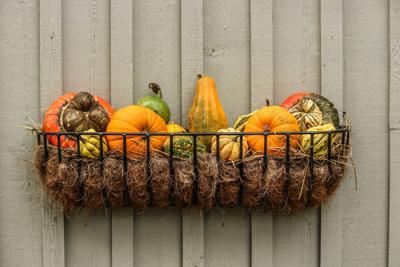 Fall For These Planter Ideas Tctimes Com