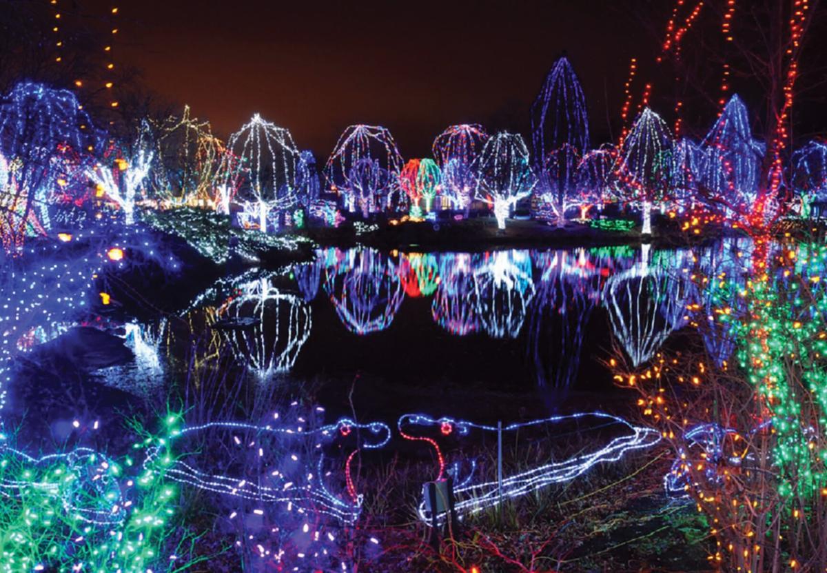 Hines Park Christmas Lights 2021