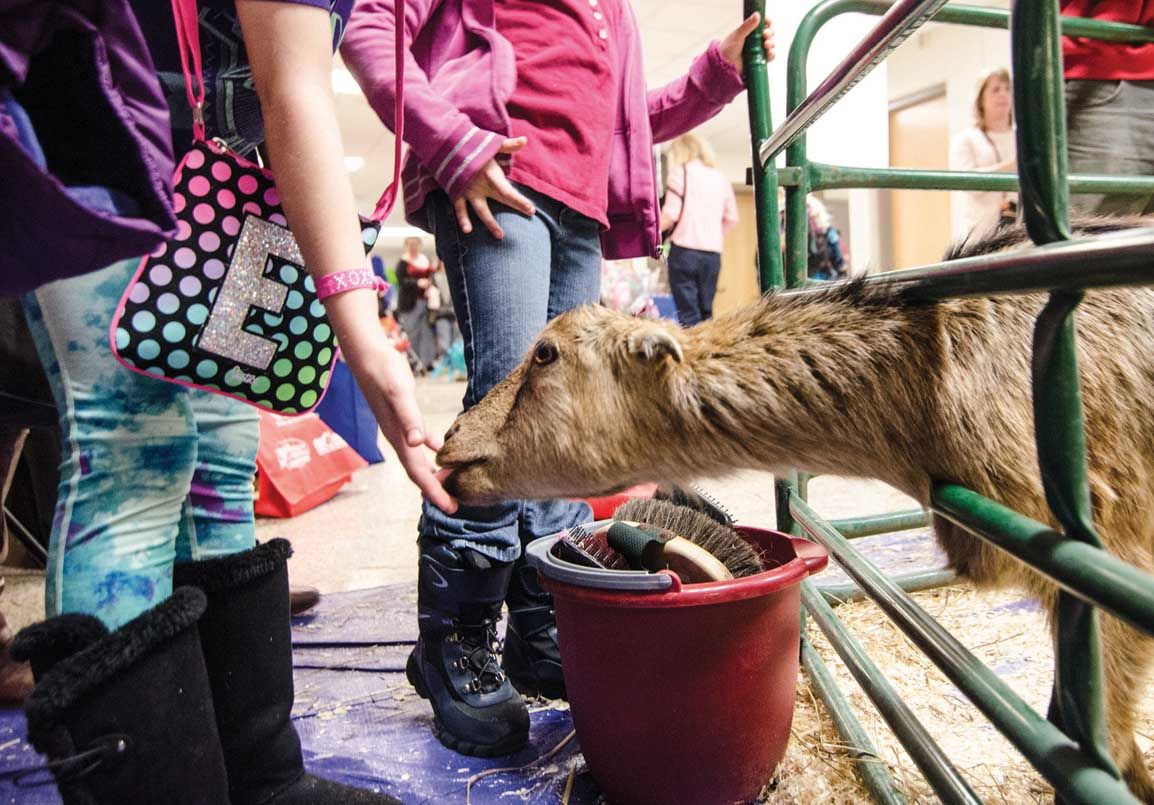 ‘It was one of our best shows ever’ News for Fenton, Linden, Holly MI