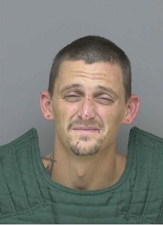 Hartland man charged News for Fenton Linden Holly MI tctimes com
