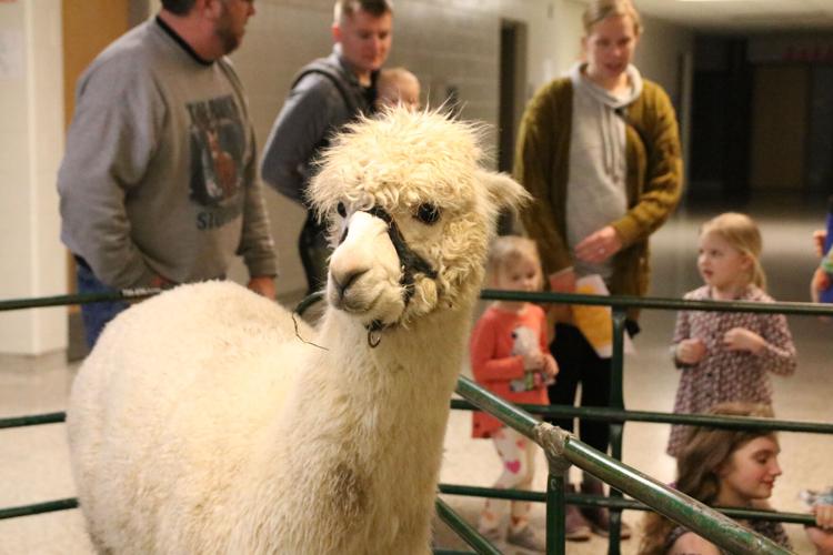 Local farm will bring animals for Expo petting zoo News for Fenton