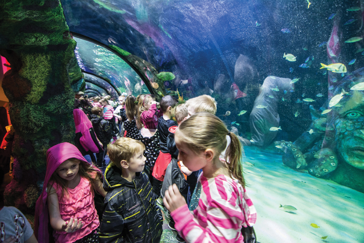 Sea life michigan coupons
