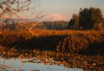 Toutle River Creative Photography